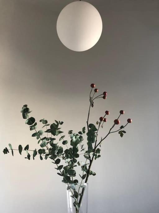 Big Bright Cozy Studio Apartment In Nolo Near Mm1 ميلان المظهر الخارجي الصورة